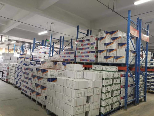 責任民企攜手政府服務(wù)，助力泰安抗疫與復工復產(chǎn)