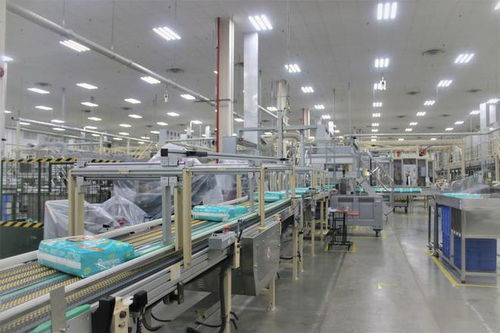 湖北高新技術(shù)產(chǎn)業(yè)與家政服務(wù)創(chuàng)新比翼齊飛，引領(lǐng)區(qū)域高質(zhì)量發(fā)展